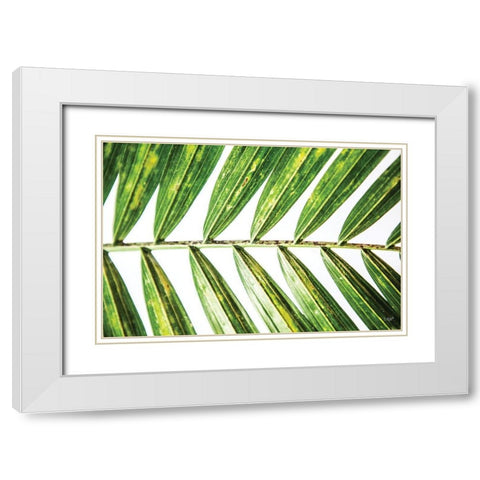 Leaf Study I White Modern Wood Framed Art Print with Double Matting by Quillen, Donnie