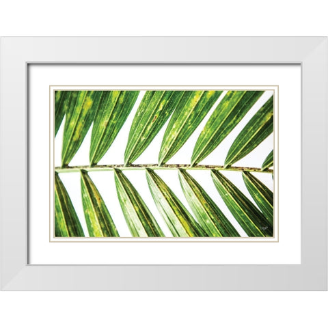 Leaf Study I White Modern Wood Framed Art Print with Double Matting by Quillen, Donnie