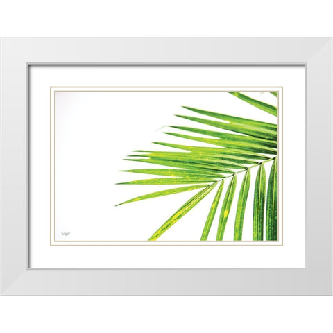 Leaf Study III White Modern Wood Framed Art Print with Double Matting by Quillen, Donnie
