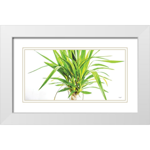 Leafy Days White Modern Wood Framed Art Print with Double Matting by Quillen, Donnie