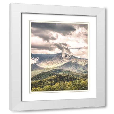 After the Storm White Modern Wood Framed Art Print with Double Matting by Quillen, Donnie