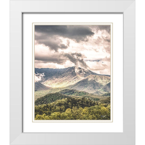 After the Storm White Modern Wood Framed Art Print with Double Matting by Quillen, Donnie