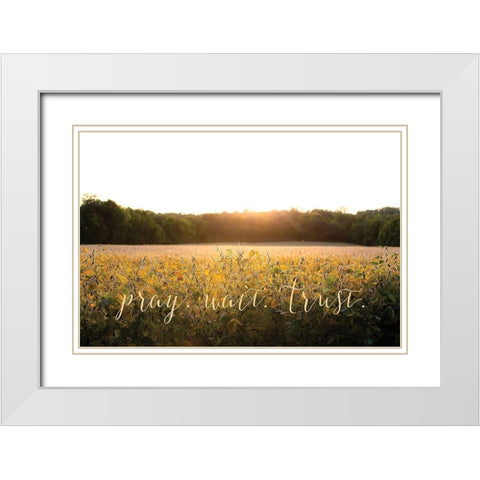 Pray-Wait-Trust White Modern Wood Framed Art Print with Double Matting by Quillen, Donnie