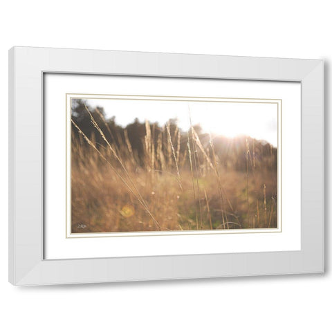 Bright Sun Haze II White Modern Wood Framed Art Print with Double Matting by Quillen, Donnie
