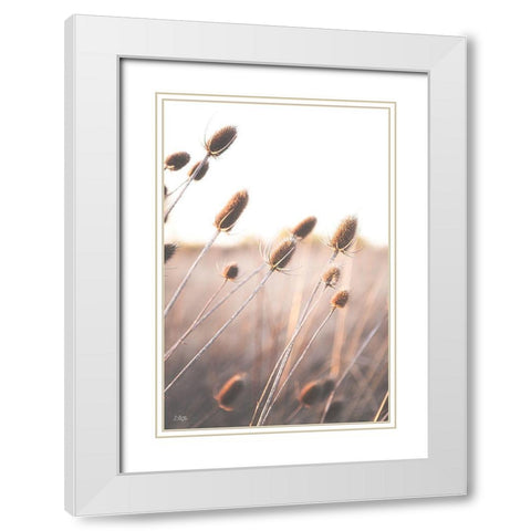 Field of Dreams II White Modern Wood Framed Art Print with Double Matting by Quillen, Donnie