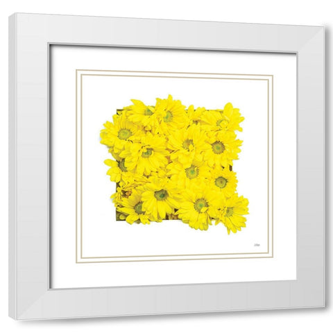 Floral Pop II White Modern Wood Framed Art Print with Double Matting by Quillen, Donnie