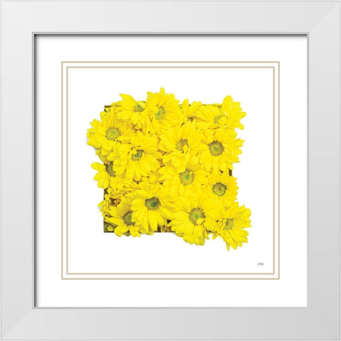 Floral Pop II White Modern Wood Framed Art Print with Double Matting by Quillen, Donnie