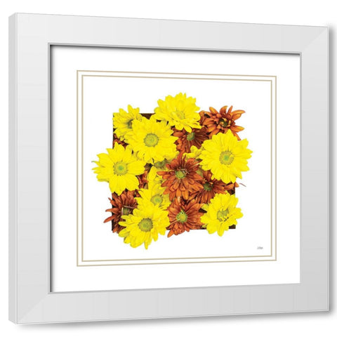 Floral Pop III White Modern Wood Framed Art Print with Double Matting by Quillen, Donnie
