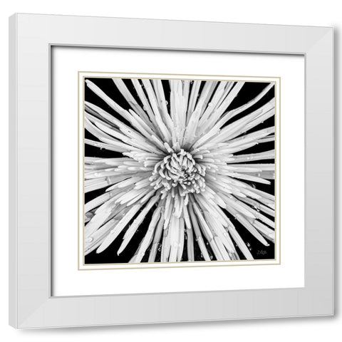 Black and White Love White Modern Wood Framed Art Print with Double Matting by Quillen, Donnie
