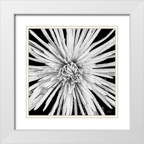 Black and White Love White Modern Wood Framed Art Print with Double Matting by Quillen, Donnie