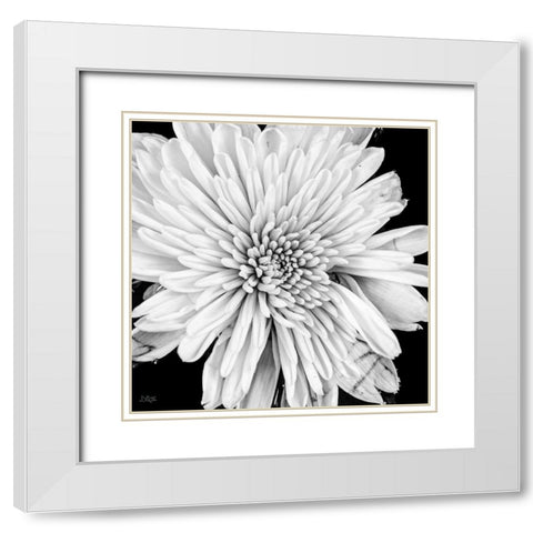 Black and White Love II White Modern Wood Framed Art Print with Double Matting by Quillen, Donnie