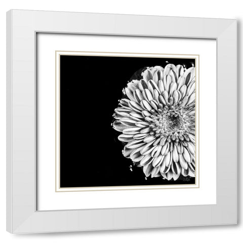 Black and White Love II White Modern Wood Framed Art Print with Double Matting by Quillen, Donnie