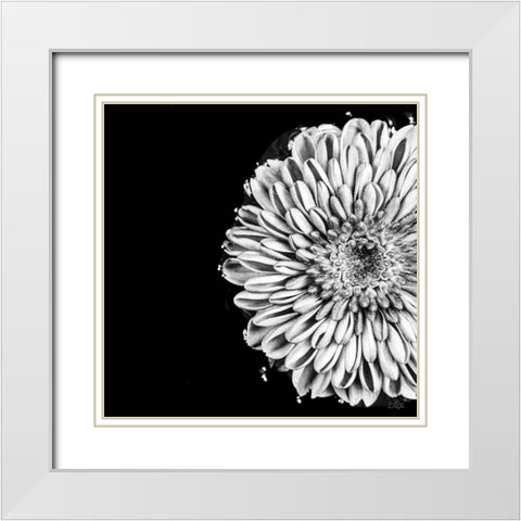 Black and White Love II White Modern Wood Framed Art Print with Double Matting by Quillen, Donnie