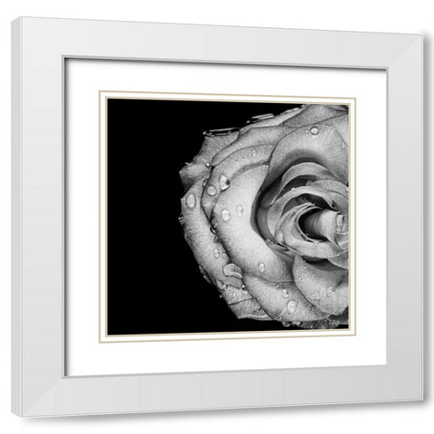 Lost Love White Modern Wood Framed Art Print with Double Matting by Quillen, Donnie