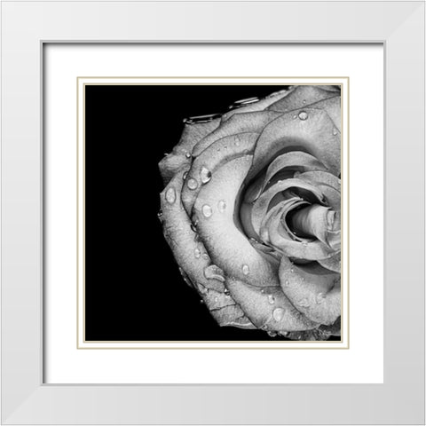 Lost Love White Modern Wood Framed Art Print with Double Matting by Quillen, Donnie