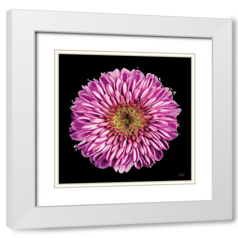 Purple Gradient White Modern Wood Framed Art Print with Double Matting by Quillen, Donnie