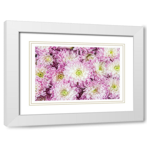 Pretty in Purple I White Modern Wood Framed Art Print with Double Matting by Quillen, Donnie