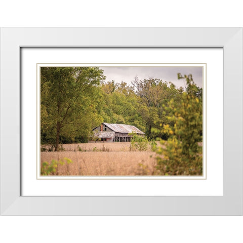 Barn in the Country II White Modern Wood Framed Art Print with Double Matting by Quillen, Donnie