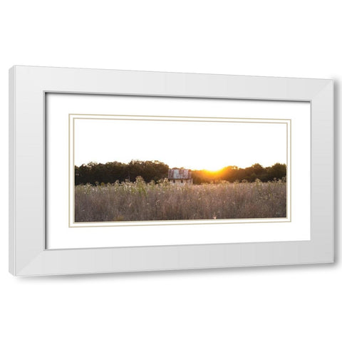 Field Find  White Modern Wood Framed Art Print with Double Matting by Quillen, Donnie