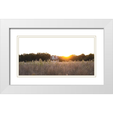 Field Find  White Modern Wood Framed Art Print with Double Matting by Quillen, Donnie