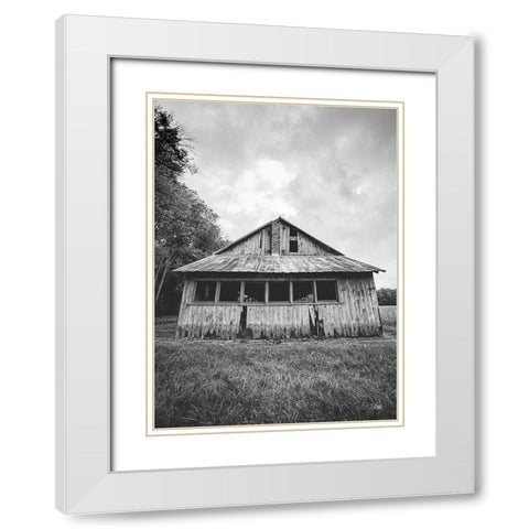 Seen Better Days  White Modern Wood Framed Art Print with Double Matting by Quillen, Donnie