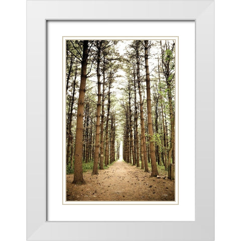 In the Pines I White Modern Wood Framed Art Print with Double Matting by Quillen, Donnie
