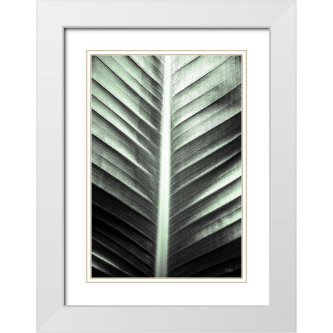 Leaf Lines White Modern Wood Framed Art Print with Double Matting by Quillen, Donnie
