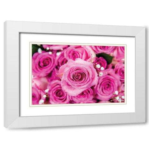 Fuchsia Roses White Modern Wood Framed Art Print with Double Matting by Quillen, Donnie