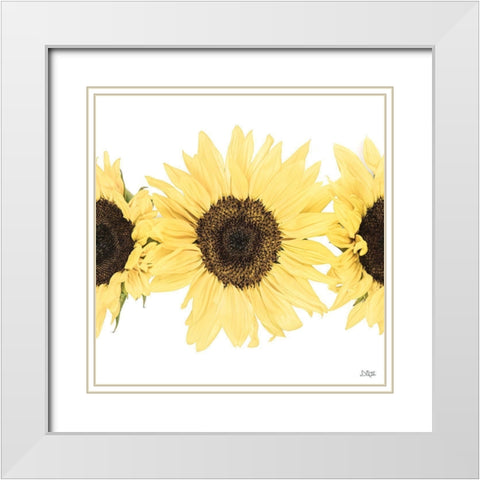 Sunflowers in a Row I White Modern Wood Framed Art Print with Double Matting by Quillen, Donnie