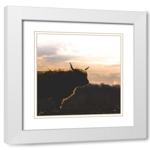 Sunset Watch White Modern Wood Framed Art Print with Double Matting by Quillen, Donnie