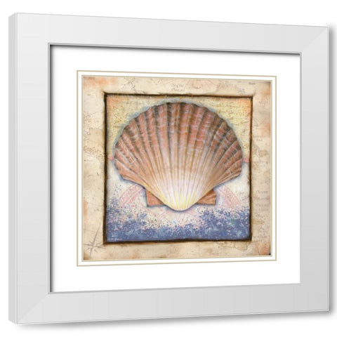 Shell White Modern Wood Framed Art Print with Double Matting by Wargo, Ed