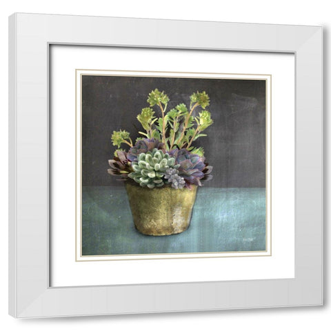 Succulents White Modern Wood Framed Art Print with Double Matting by House Fenway