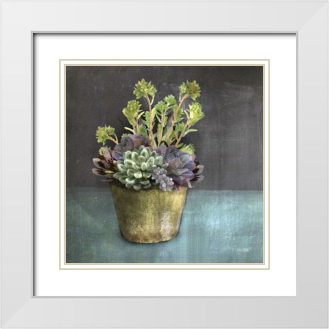 Succulents White Modern Wood Framed Art Print with Double Matting by House Fenway