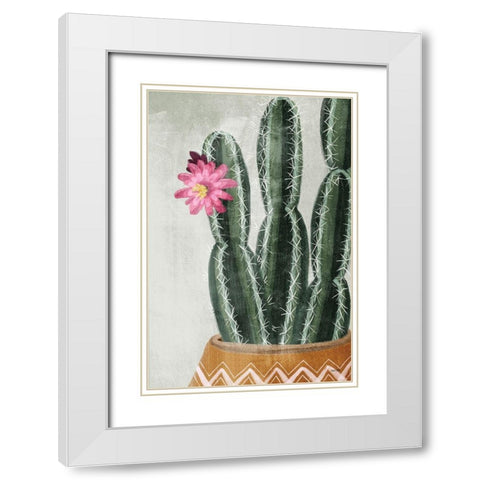 Flowering Cactus White Modern Wood Framed Art Print with Double Matting by House Fenway