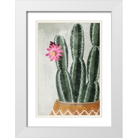 Flowering Cactus White Modern Wood Framed Art Print with Double Matting by House Fenway