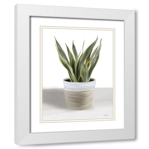 Snake Plant I White Modern Wood Framed Art Print with Double Matting by House Fenway
