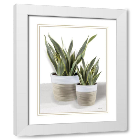 Snake Plant II White Modern Wood Framed Art Print with Double Matting by House Fenway