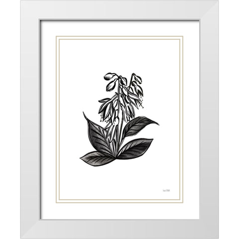Pen and Ink Wildflower III White Modern Wood Framed Art Print with Double Matting by House Fenway
