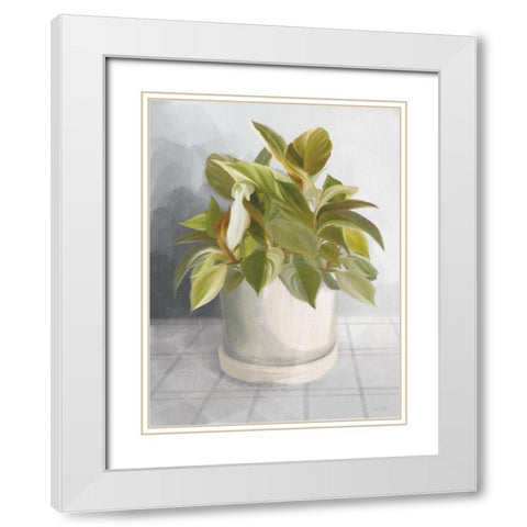 Ironstone Planter I White Modern Wood Framed Art Print with Double Matting by House Fenway