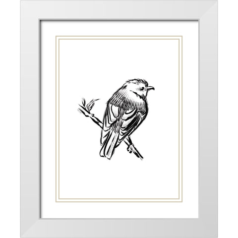 Songbird Sketch I White Modern Wood Framed Art Print with Double Matting by House Fenway
