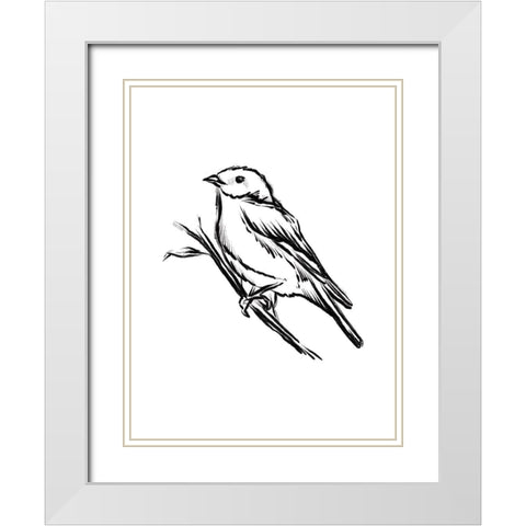 Songbird Sketch II White Modern Wood Framed Art Print with Double Matting by House Fenway