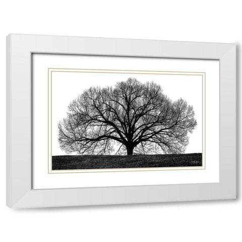 The Tree White Modern Wood Framed Art Print with Double Matting by Jones, John
