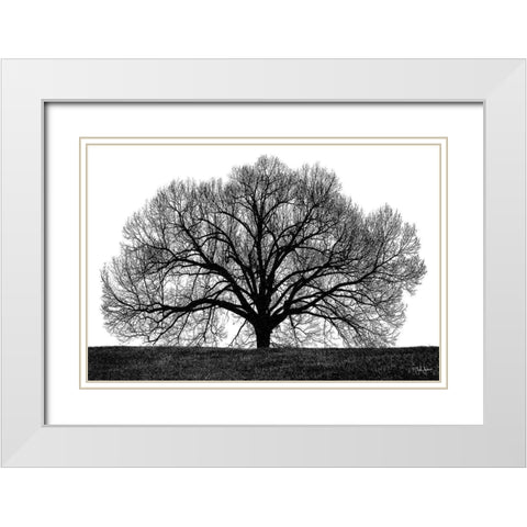 The Tree White Modern Wood Framed Art Print with Double Matting by Jones, John
