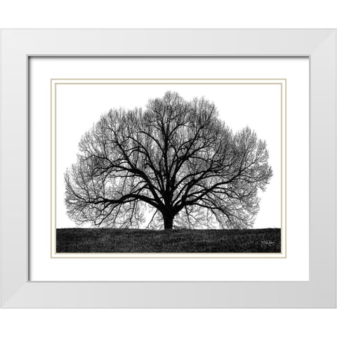 The Tree White Modern Wood Framed Art Print with Double Matting by Jones, John