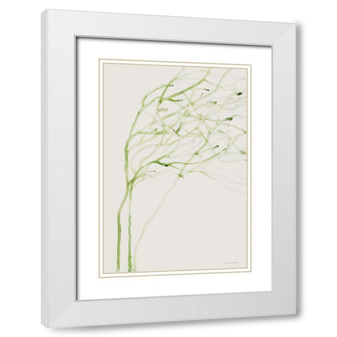 Thistle and Thatch White Modern Wood Framed Art Print with Double Matting by Kamdon Kreations