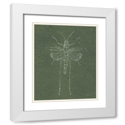 Now Climb Young Grasshopper White Modern Wood Framed Art Print with Double Matting by Kamdon Kreations
