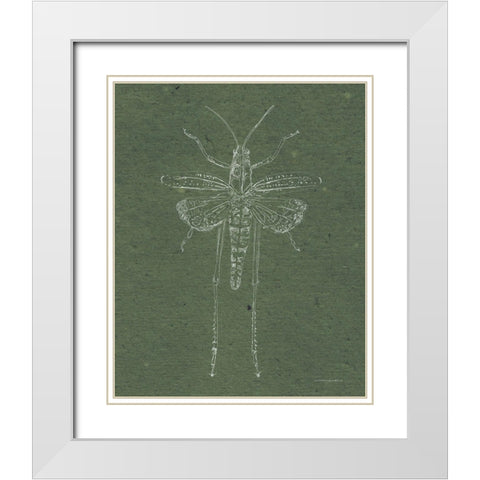 Now Climb Young Grasshopper White Modern Wood Framed Art Print with Double Matting by Kamdon Kreations