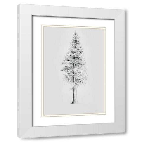 When a Redwood Isnt Red White Modern Wood Framed Art Print with Double Matting by Kamdon Kreations