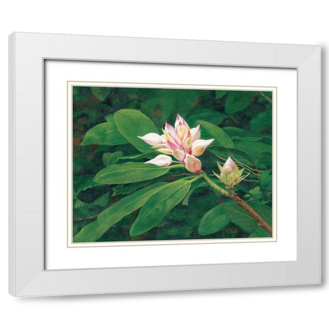 A Whisper of Pink White Modern Wood Framed Art Print with Double Matting by Sherrill, Kate