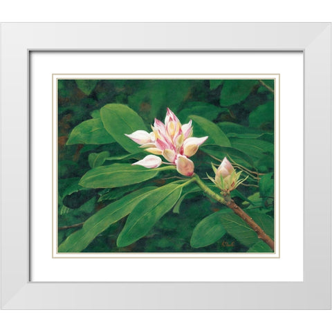 A Whisper of Pink White Modern Wood Framed Art Print with Double Matting by Sherrill, Kate